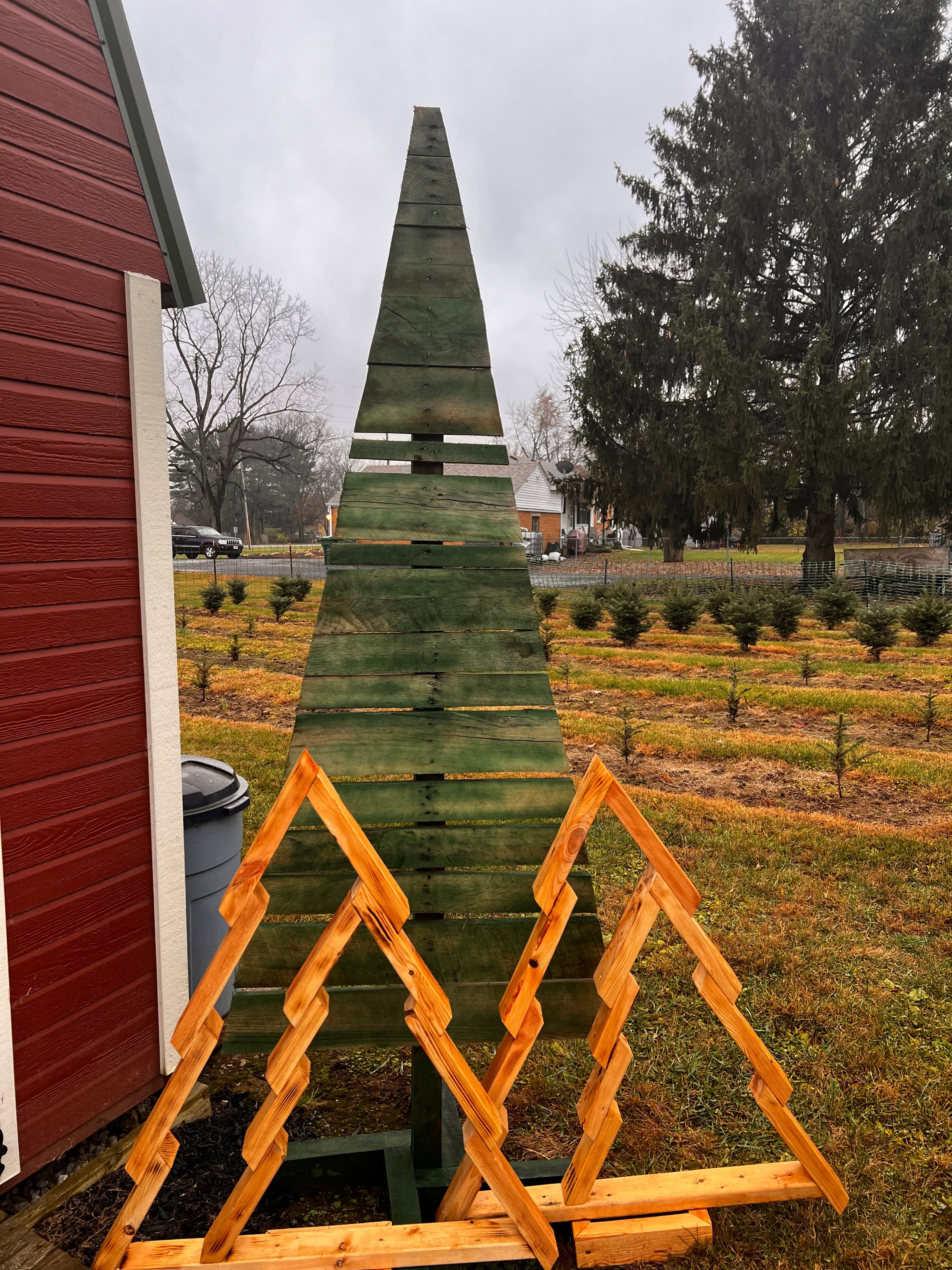 Green Porch Tree 8 Feet Greene Acres Christmas Tree Farm